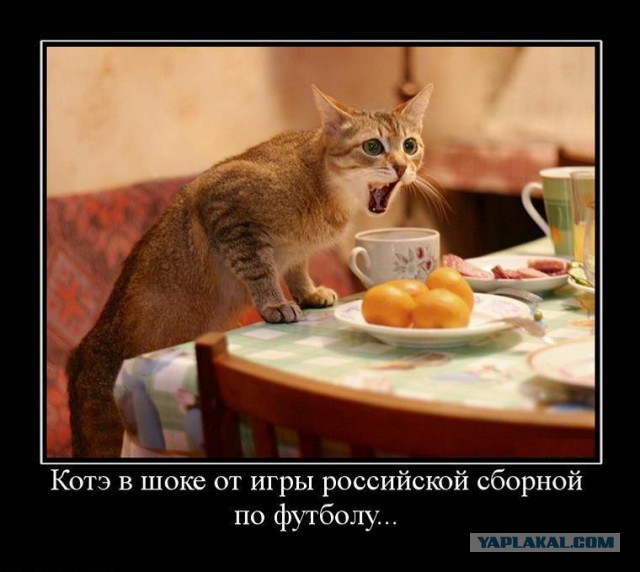Котовторнику посвящается.