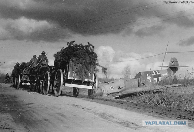 Документальные фото ВОВ 1941-1945