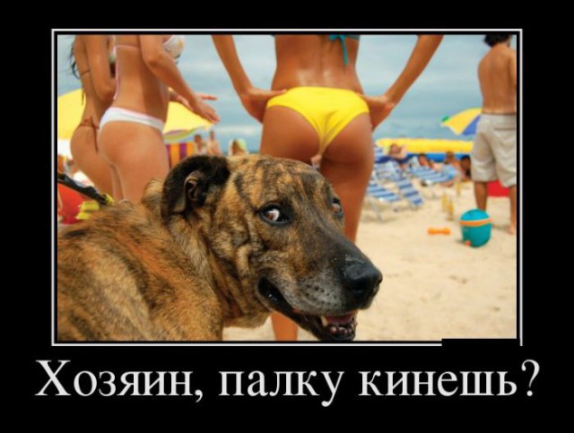 Разные картинки из сети