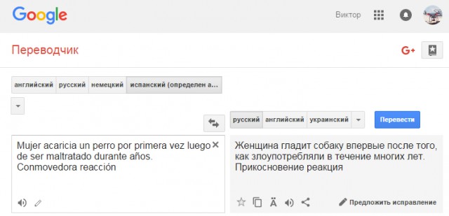 Собаку ласкают первый раз