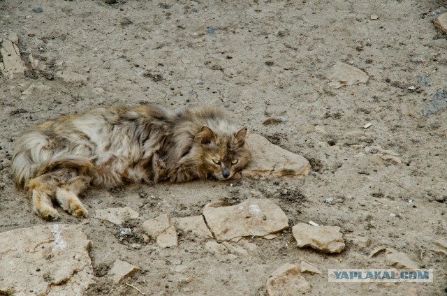 Немного моих фото, авторское