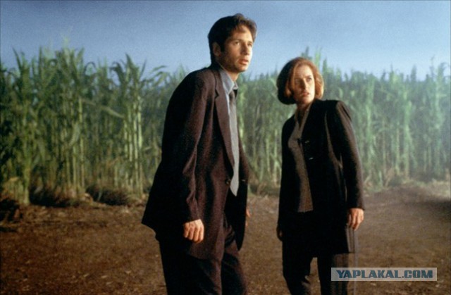 Хронология «Секретных материалов»: от начала и... до конца?