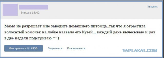 Ужасы и приколы из соцсетей 18+