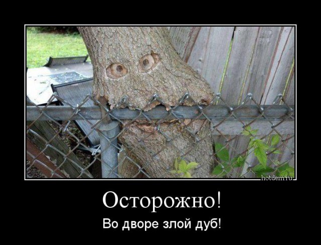 Демы без Темы