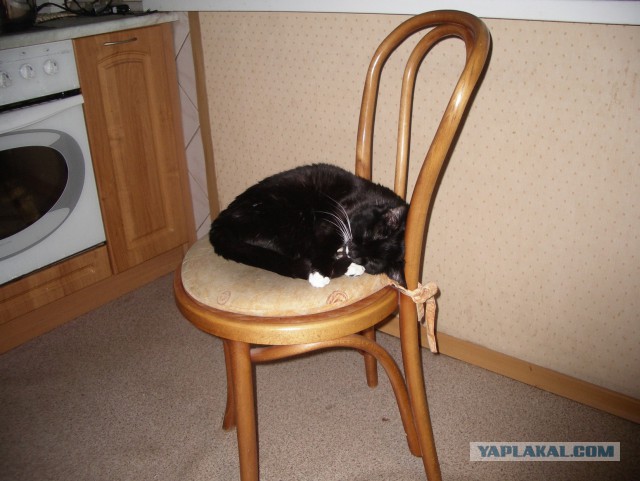 Я хочу красивого