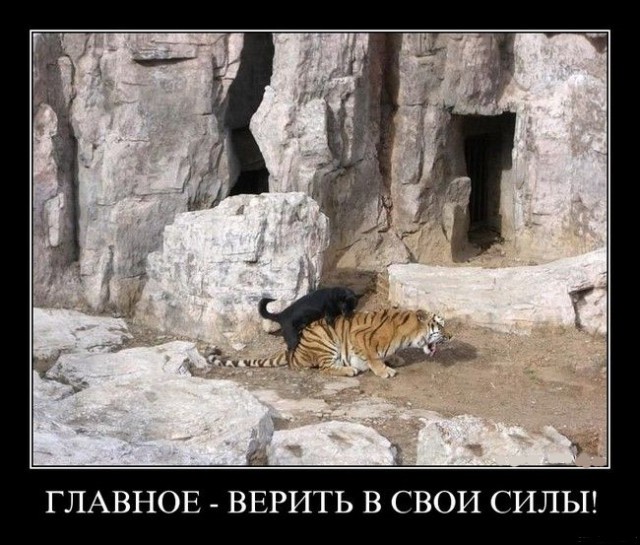 Лайки уже не те