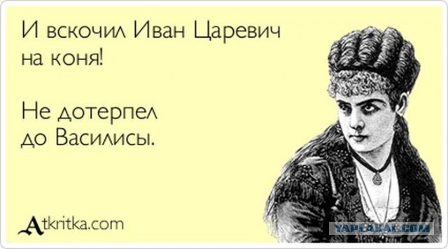 Порция картинок из сети
