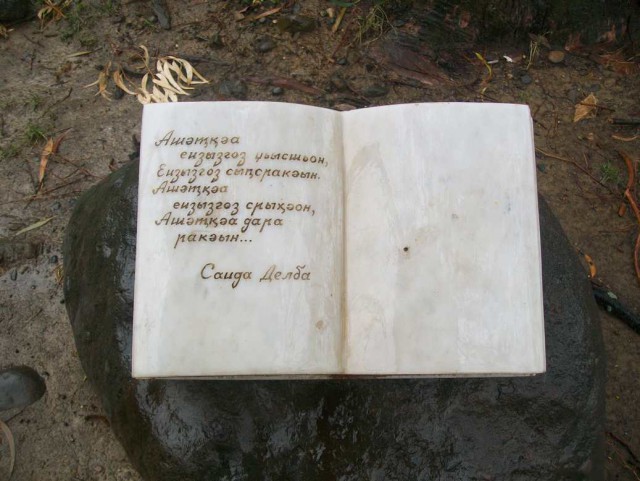 Абхазия зимой