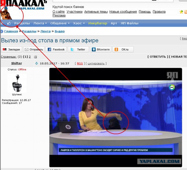 Вылез из-под стола в прямом эфире