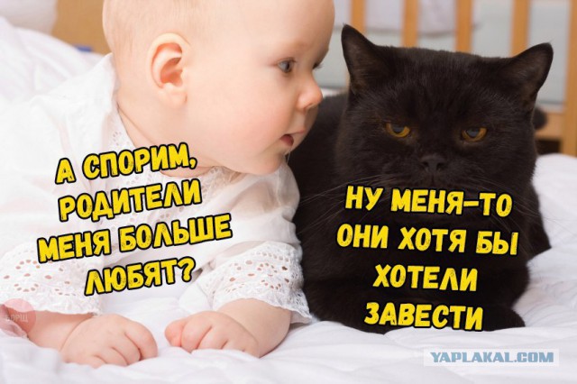 Немного деграданса
