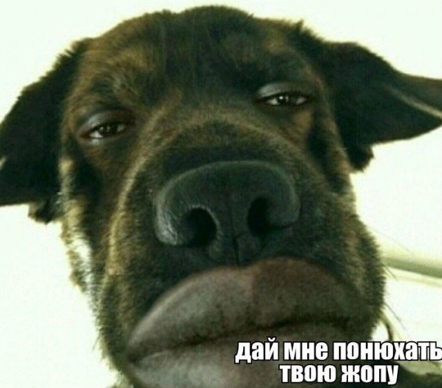 Чем так воняет?