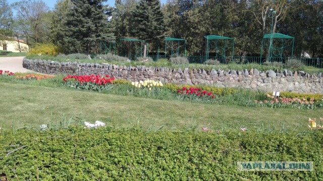 Поделитесь весной