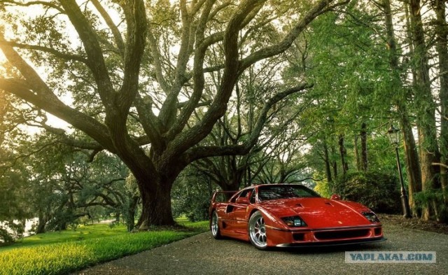 Ferrari F40. Его прощальный поклон