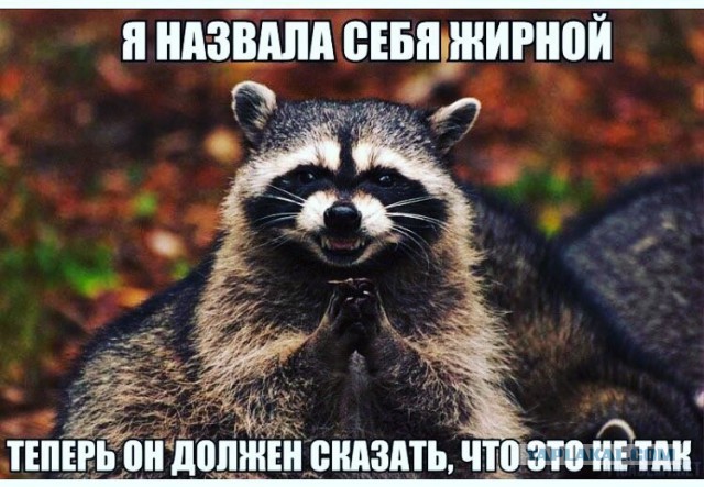 Отношения с женщиной в картинках, навеяно японскими Аниме (шутка)