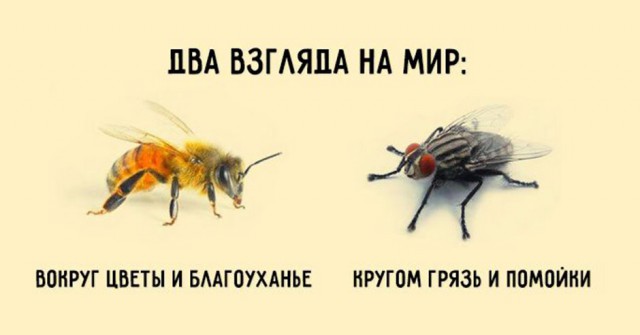 Сказочное Бали: Грязная правда