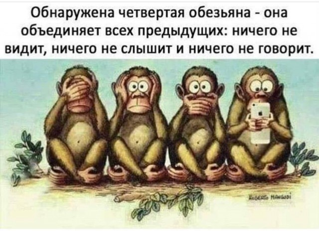 Прикольные комментарии и высказывания из Сети