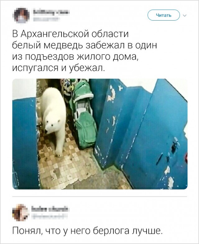 Интернет-комментариев от людей с круглосуточным КВН в голове