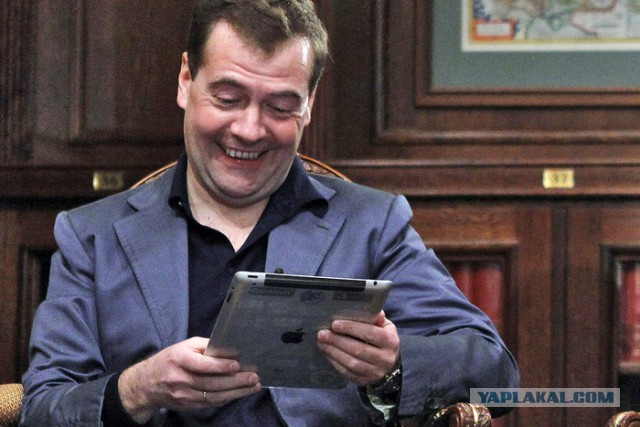 Питомцы по паспорту и в жизни