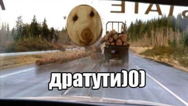 Второй день рождения!