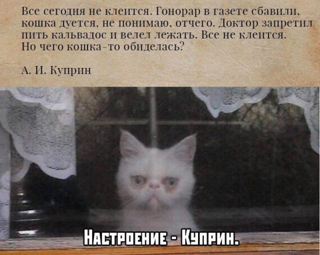 Большая подборка прикольных фото
