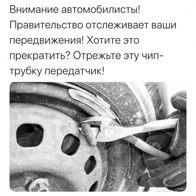 Картинки не для всех к вечерку