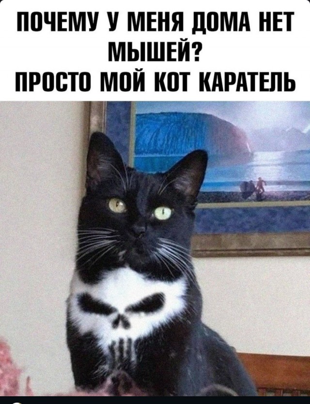 Бредзона 07.07.2020