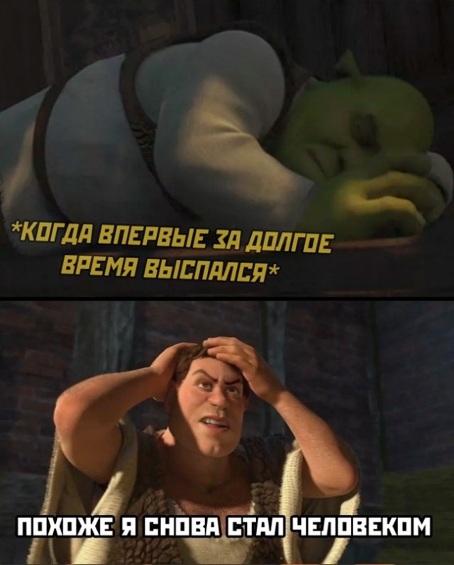 Весёлый полтишок 24.02