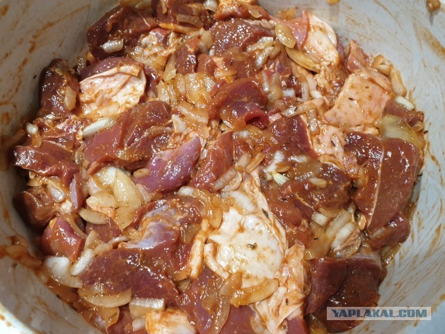 Шашлык, рецепты маринада, все про шашлык!