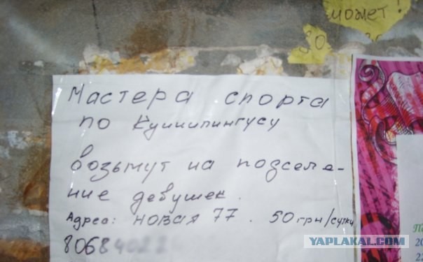Девченки, вам сюда!