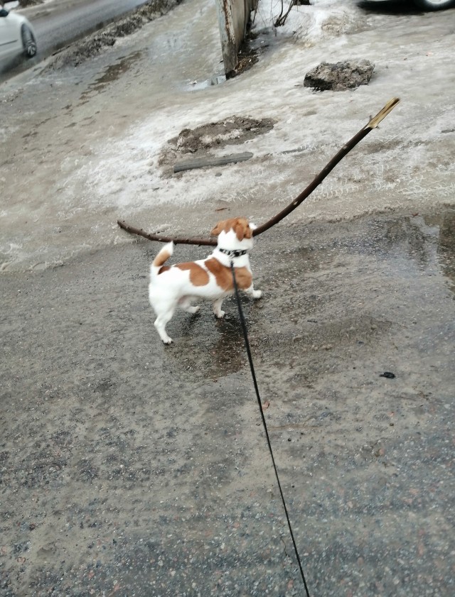 Парень который всегда рядом