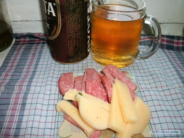 Пятничные посиделки на теплотрассе ©