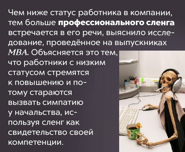 Занимательные факты о разном