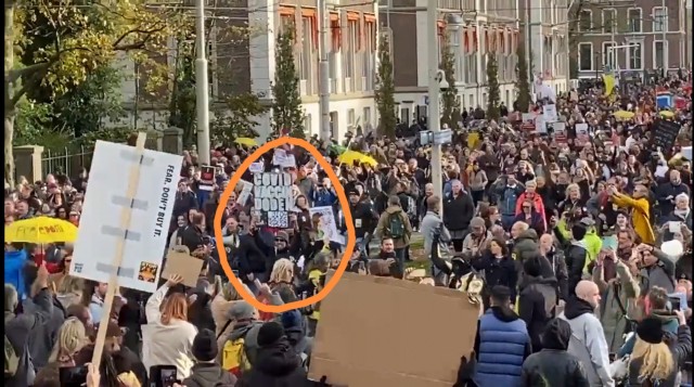 Грандиозный митинг против ковид-ограничений в Гааге