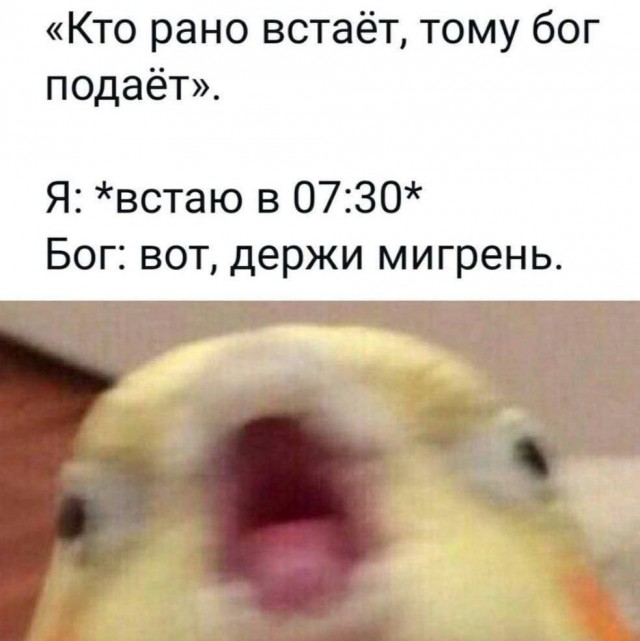 Четверг, а значит пора начинать деградировать...