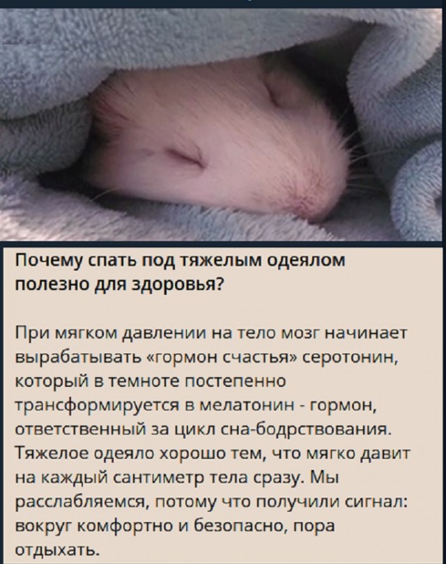 Картинки с надписями и всякие жизненные фразы