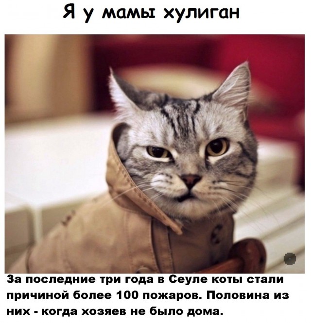 Так себе картинки 21.05.22
