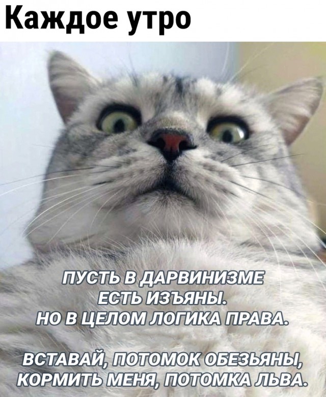 Так себе картинки 26.05.22