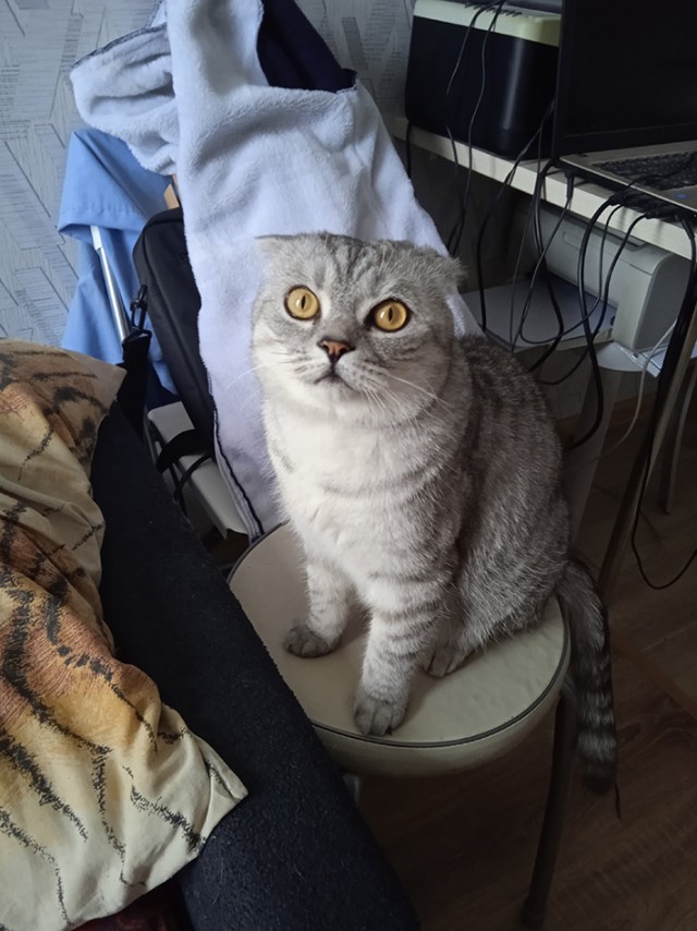 Кот д’Ивуар