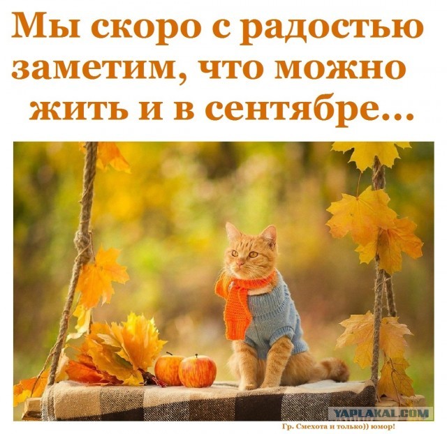 Муж отказывается прописывать меня!