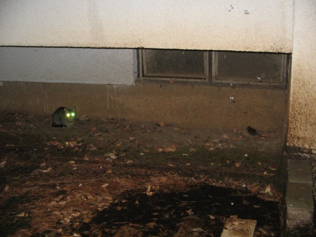 Отдых в Черногории (сентябрь 2012)