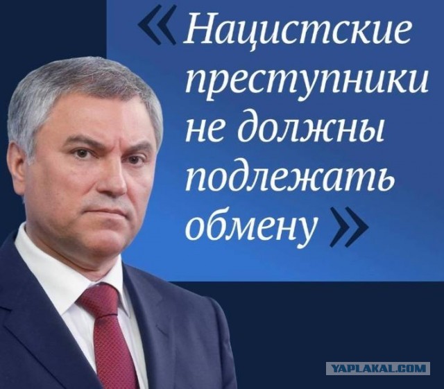 Володин пообещал наказать сбежавших в Грузию от мобилизации и подписавших на границе документ с осуждением России