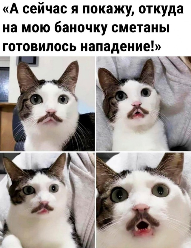 Так себе картинки 17.10.22