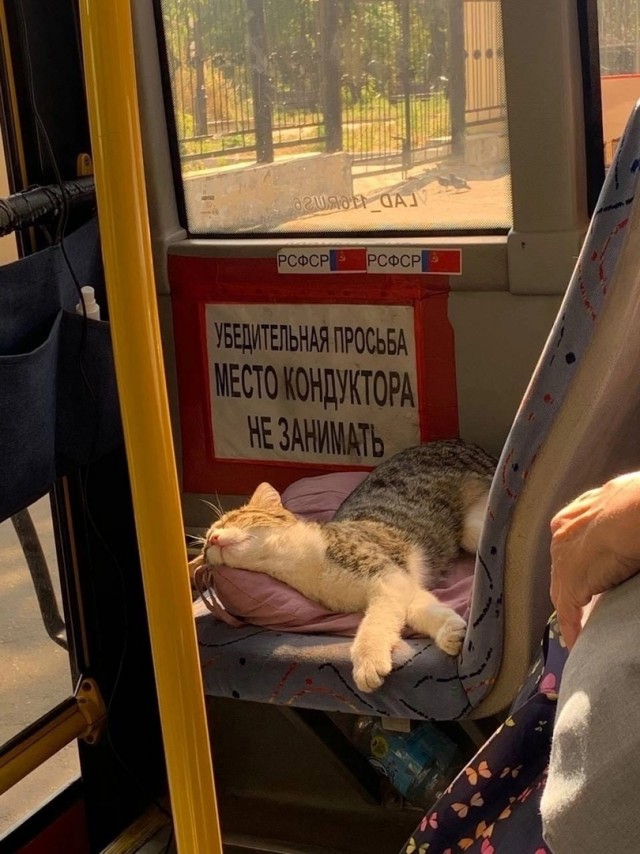Калейдоскоп картинок