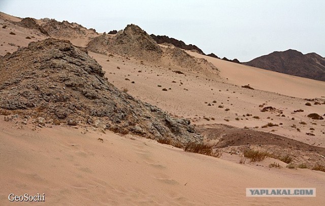 Синайские приключения. Шарм-эш-Шейх и окресности