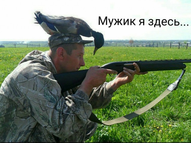 Каждый охотник желает знать...