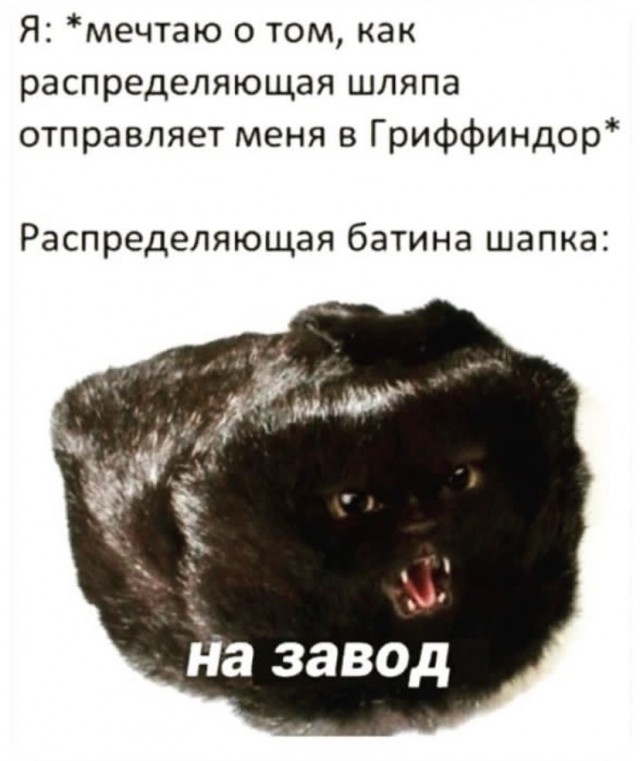 Так себе картинки 02.03.23