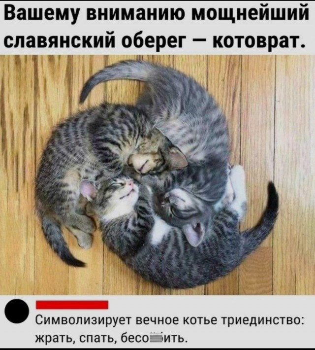 Победная поступь идиотизма по планете – том 10