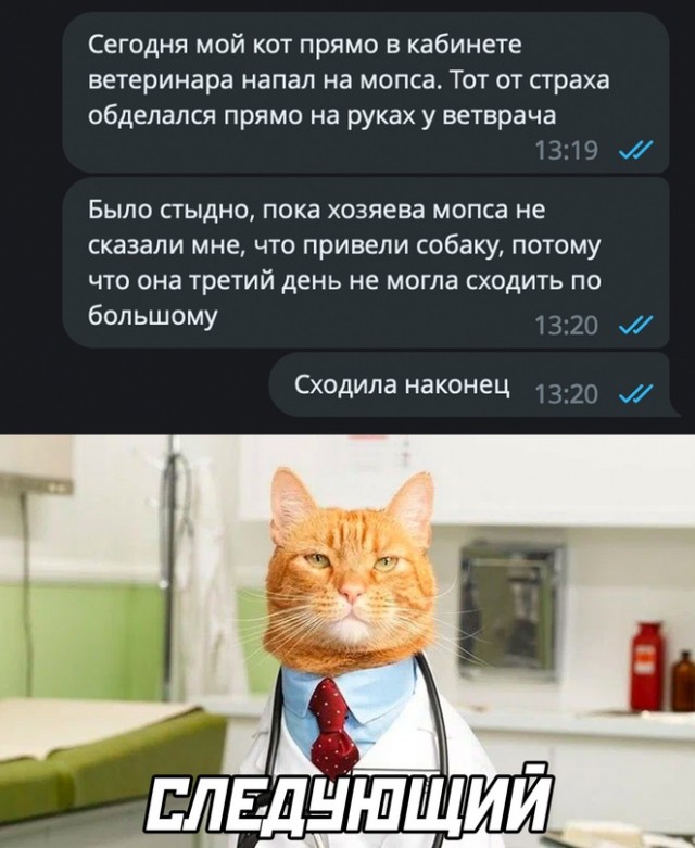 Немного картинок для настроения - 161