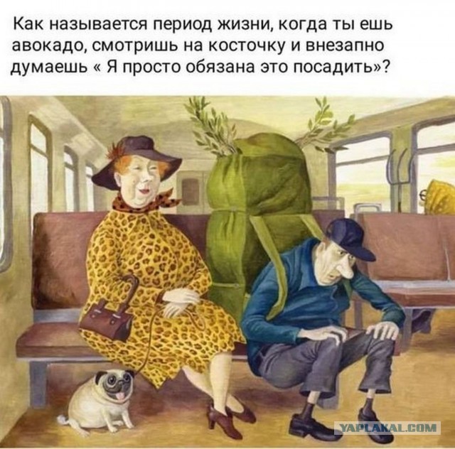 Много ли внимания должна уделять жена мужу?