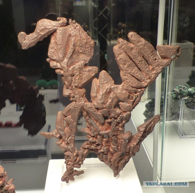 Mineralientage München 2018